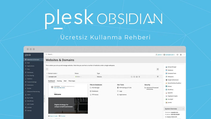 Ücretsiz Plesk Panel Nasıl Kullanılır?